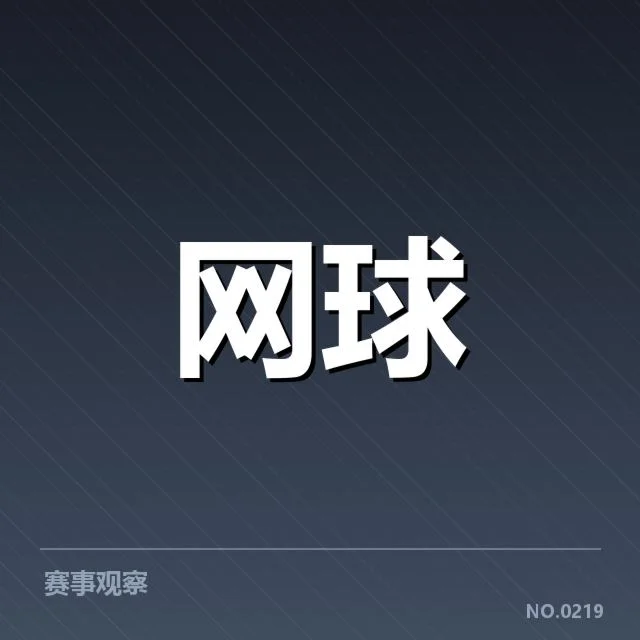 近期澳网技术应用的具体情况